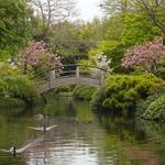 Fort Worth Botanic Garden