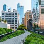 The High Line