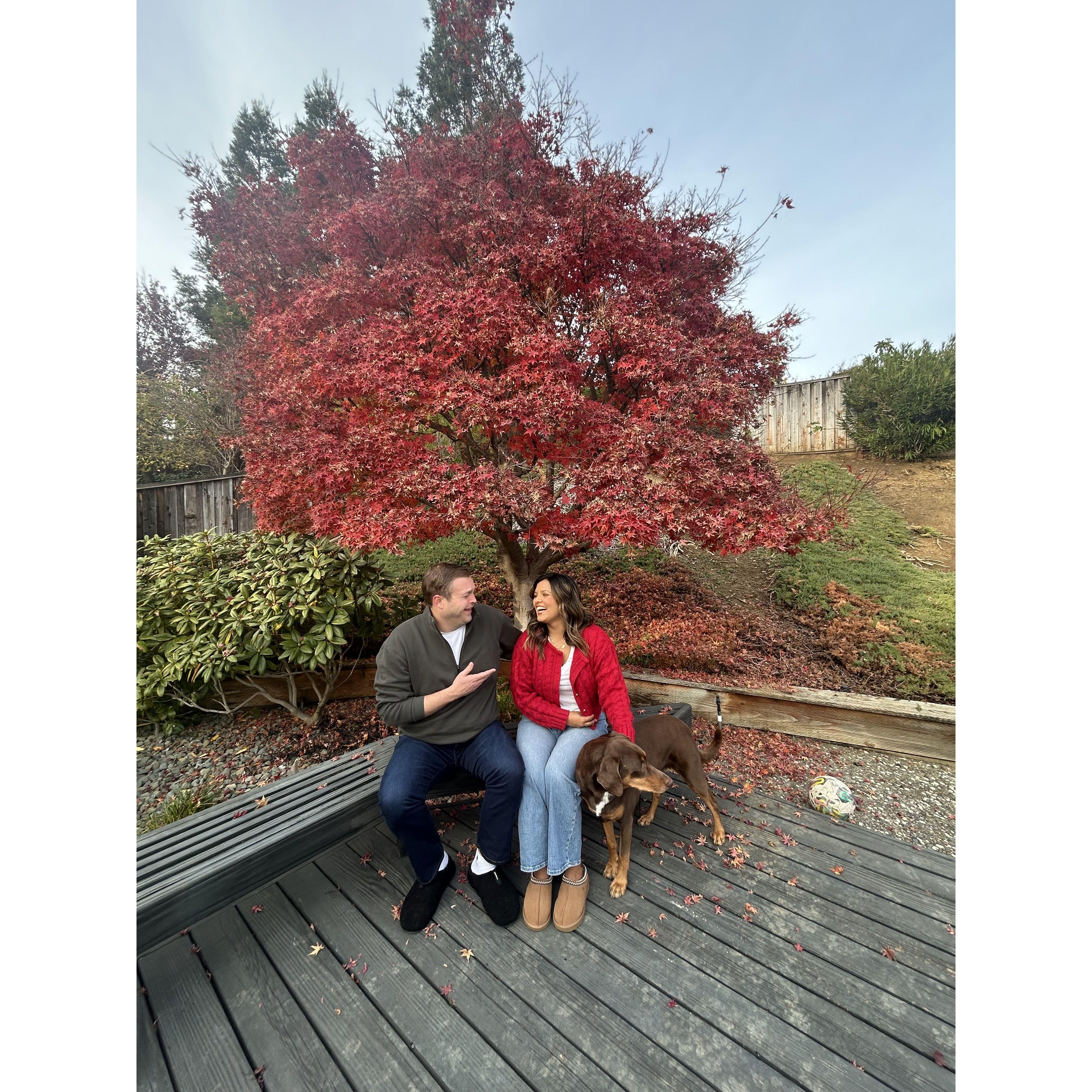 We took our Christmas pictures in our backyard while the Japanese maple was in full bloom