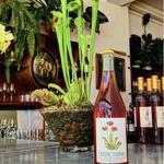 DRINK: Birichino Winery Tasting Room
