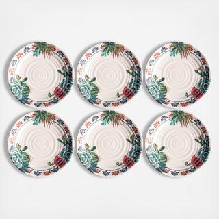 Desert Succulent Melamine Dinner Plate, Set of 6
