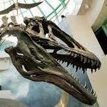 North Carolina Museum of Natural Sciences