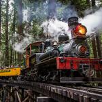 Roaring Camp