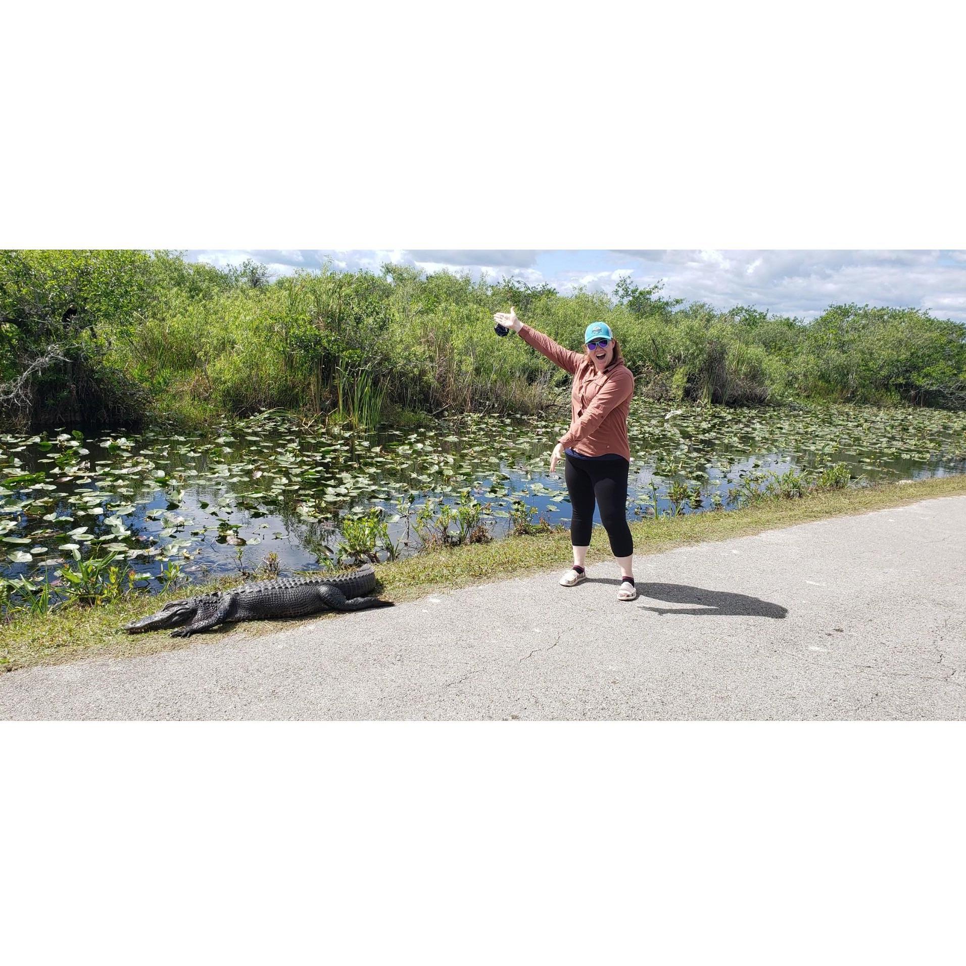 Ashley was not allowed to touch the alligator.