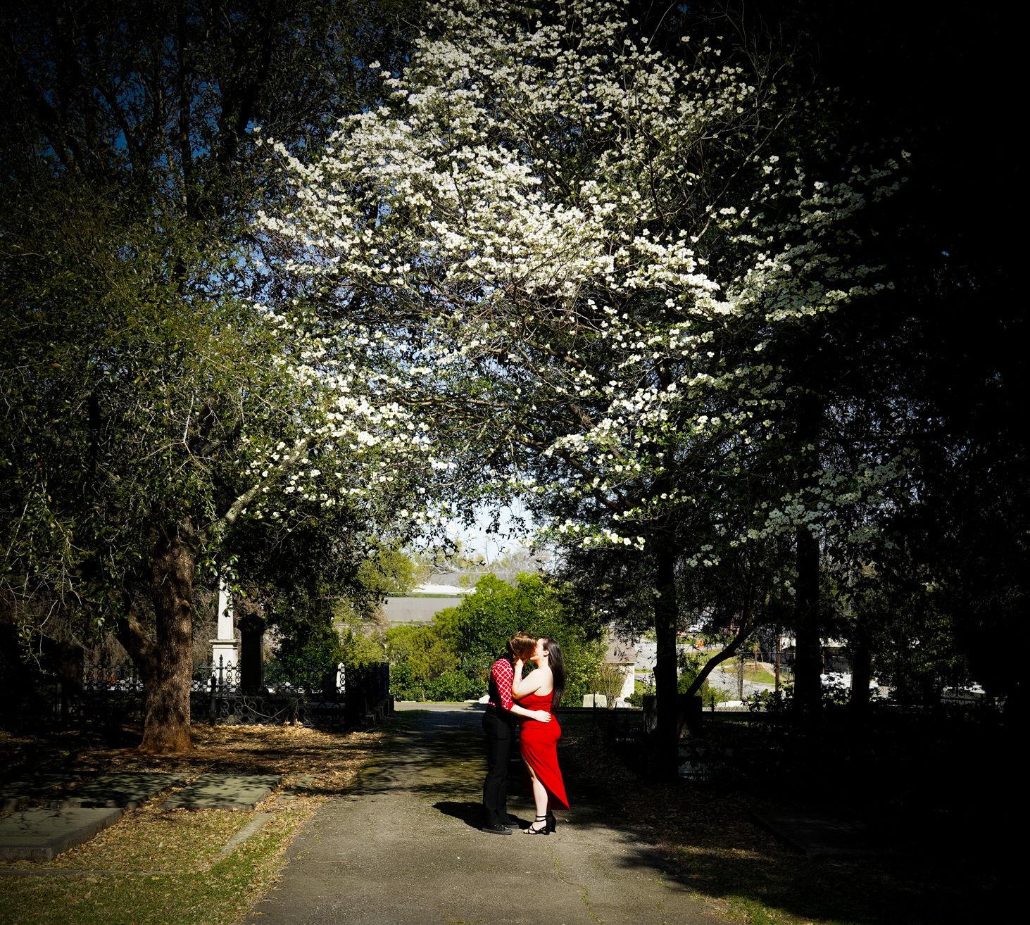 The Wedding Website of Shayla Olliff and Angela Hall