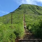 Koko Head Trail