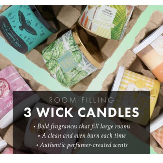 3 Wick Candles (doesnt have to he these specifically)