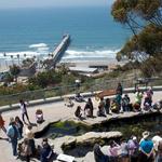 Birch Aquarium