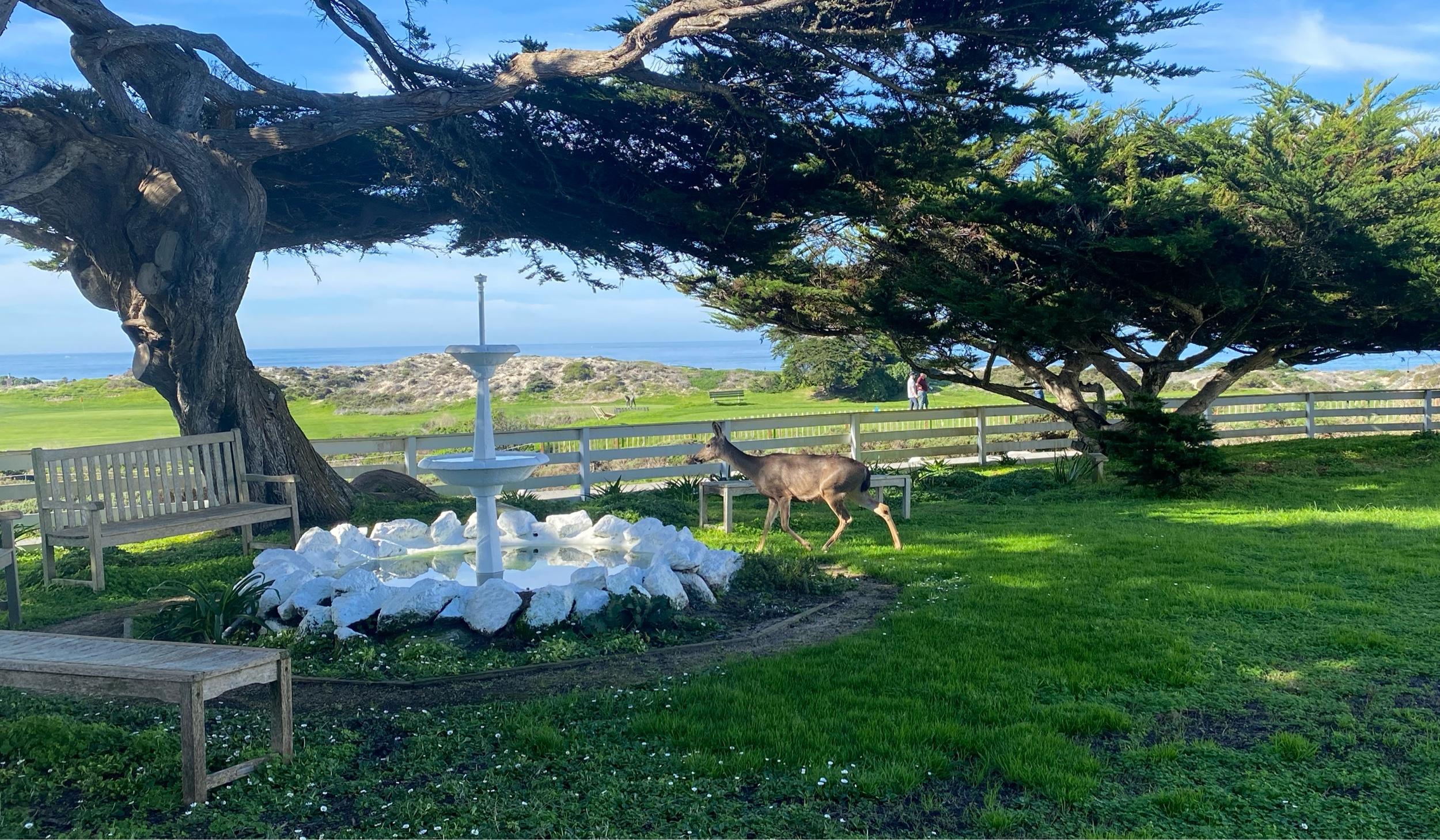 The Wedding Website of Danielle Owens and Diego Valdez