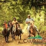 Carabalí Rainforest Park