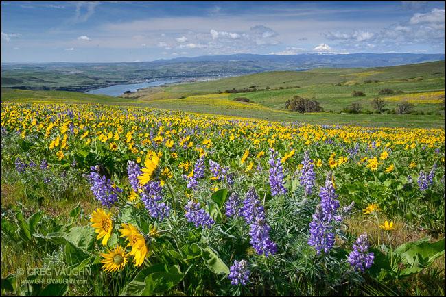 The Wedding Website of Lele Heartloom and Keala Young