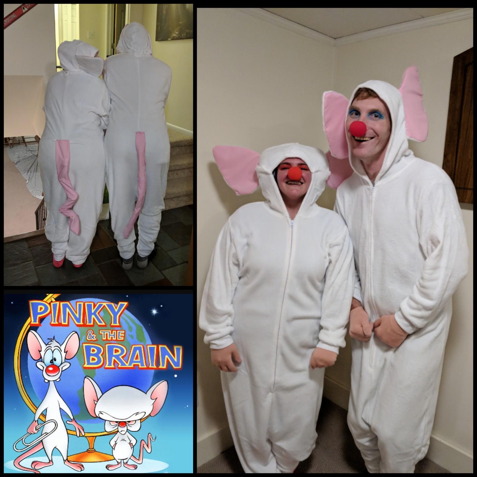 Homemade Halloween couples costumes.