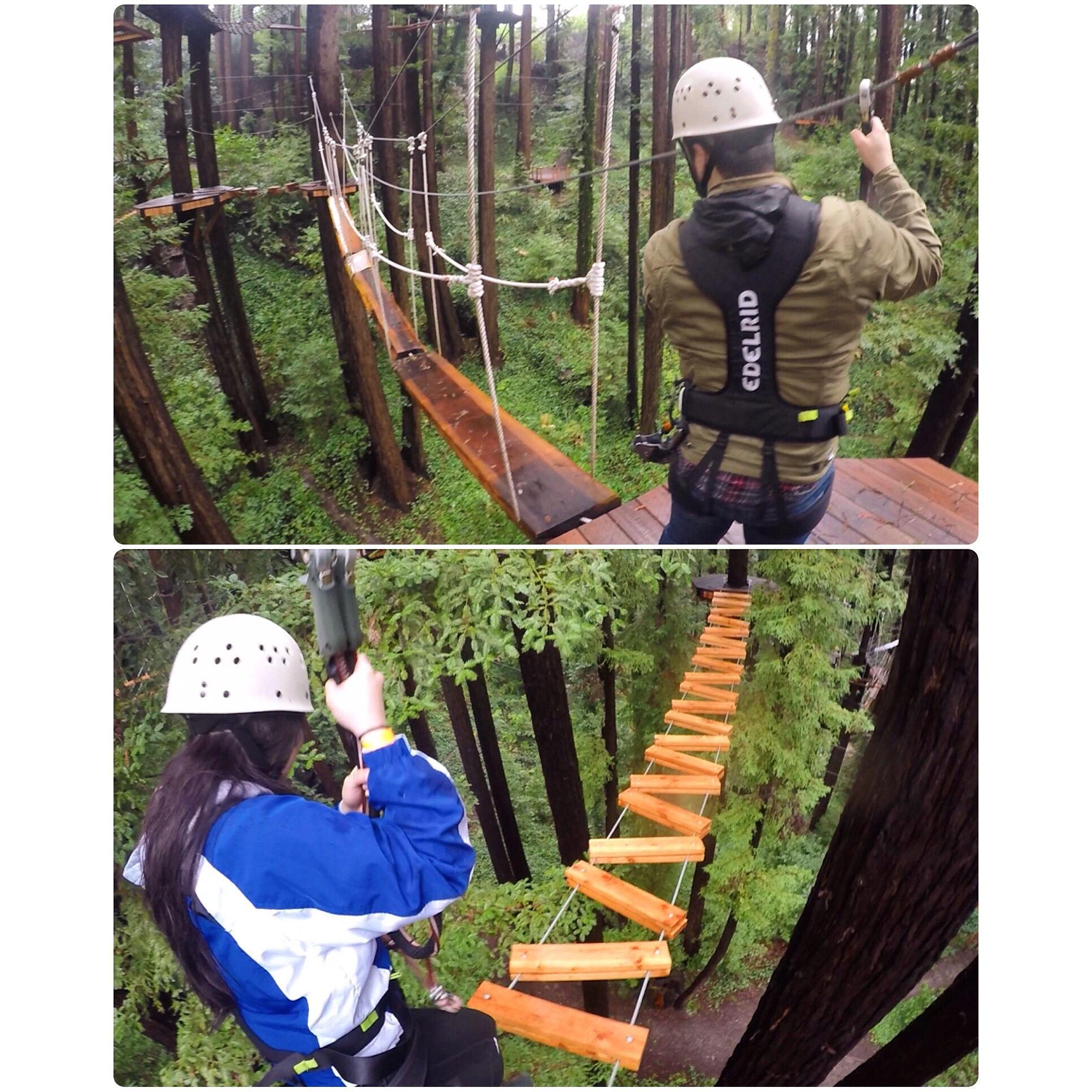 Some high birthday shenanigans for Lord Faudoa! Circa 2016.