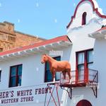 Fincher's White Front