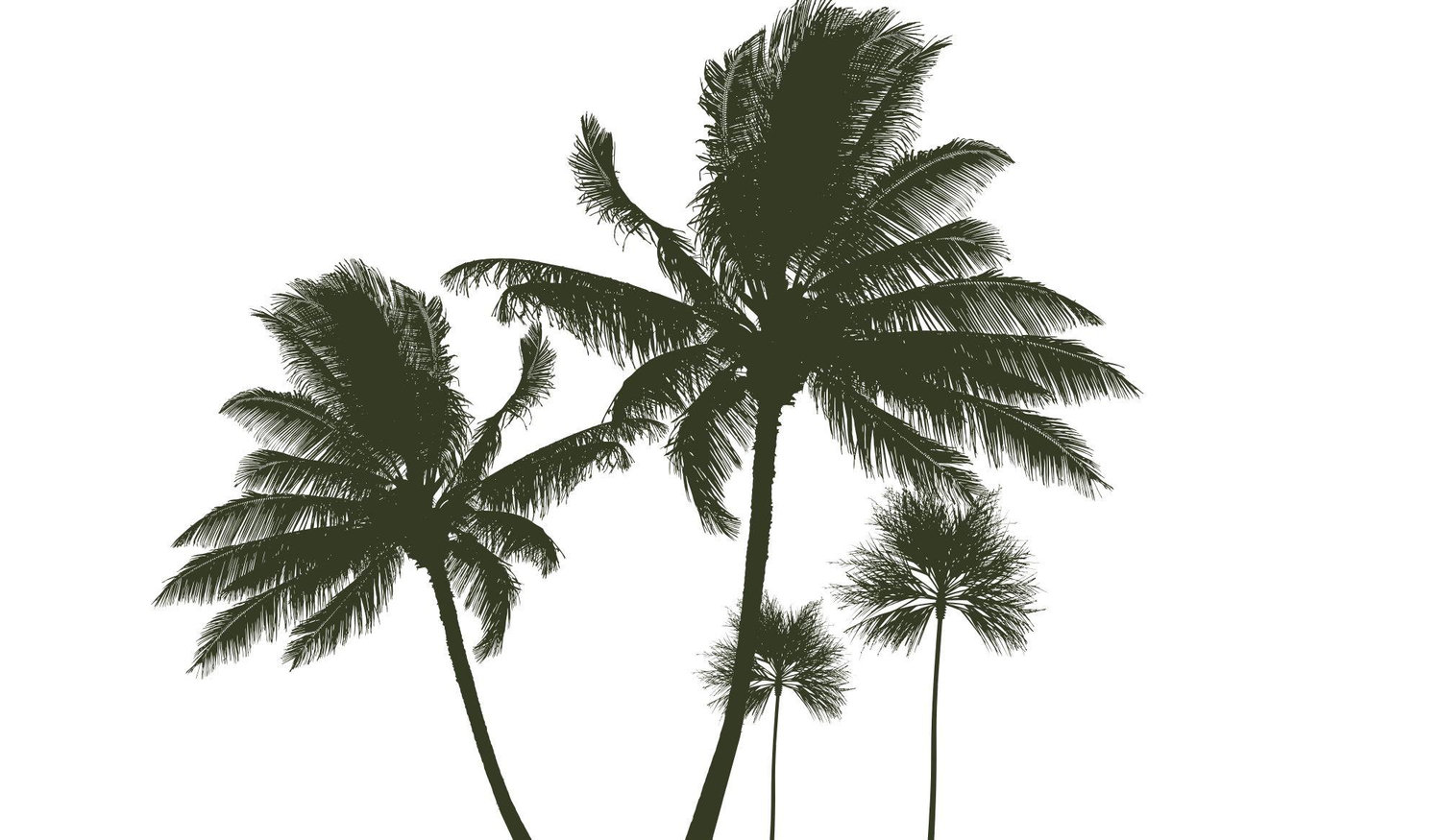 Footer image