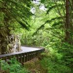 Chuckanut Drive