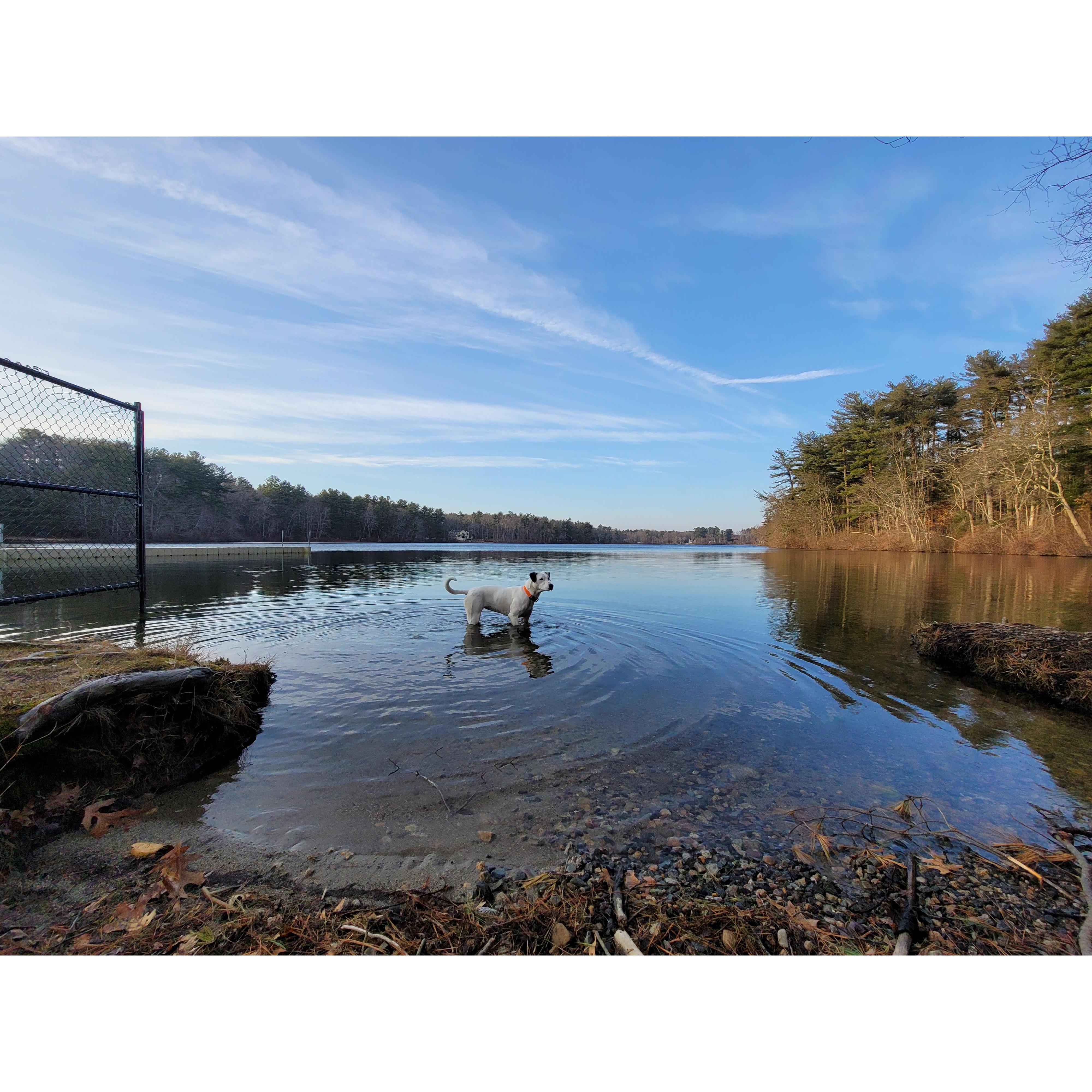 swimming area-Billie tried it out for you