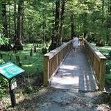 Greenville Cypress Preserve Trust