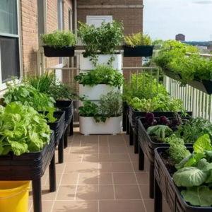 Balcony garden fund (tools, soil, pots, plants)