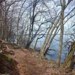 Minna Anthony Common Nature Center