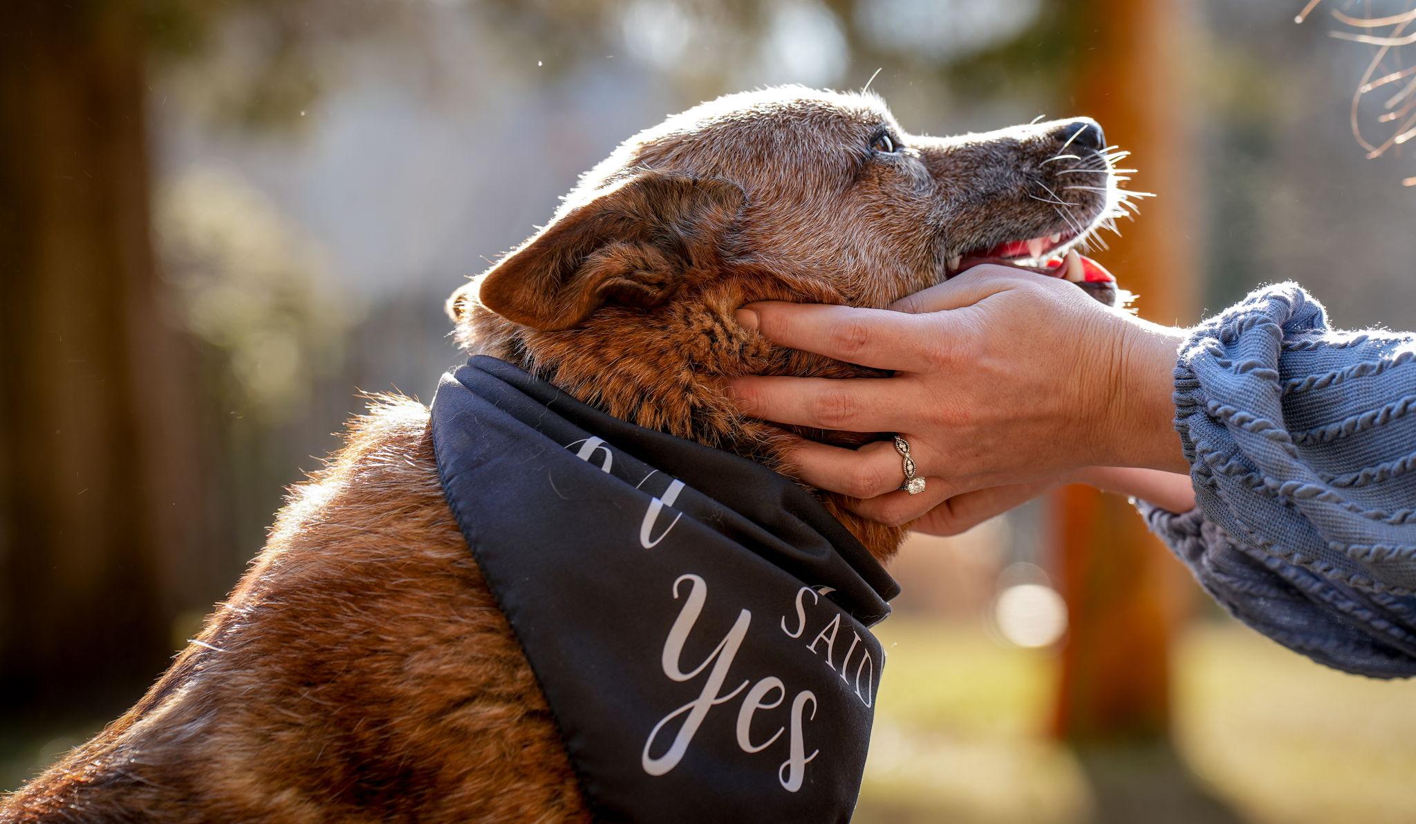 Hero Slideshow Image 5