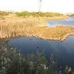 Stainton Wildlife Refuge