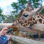 Cheyenne Mountain Zoo