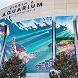 Virginia Aquarium & Marine Science Center