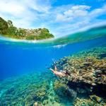 Freediving classes