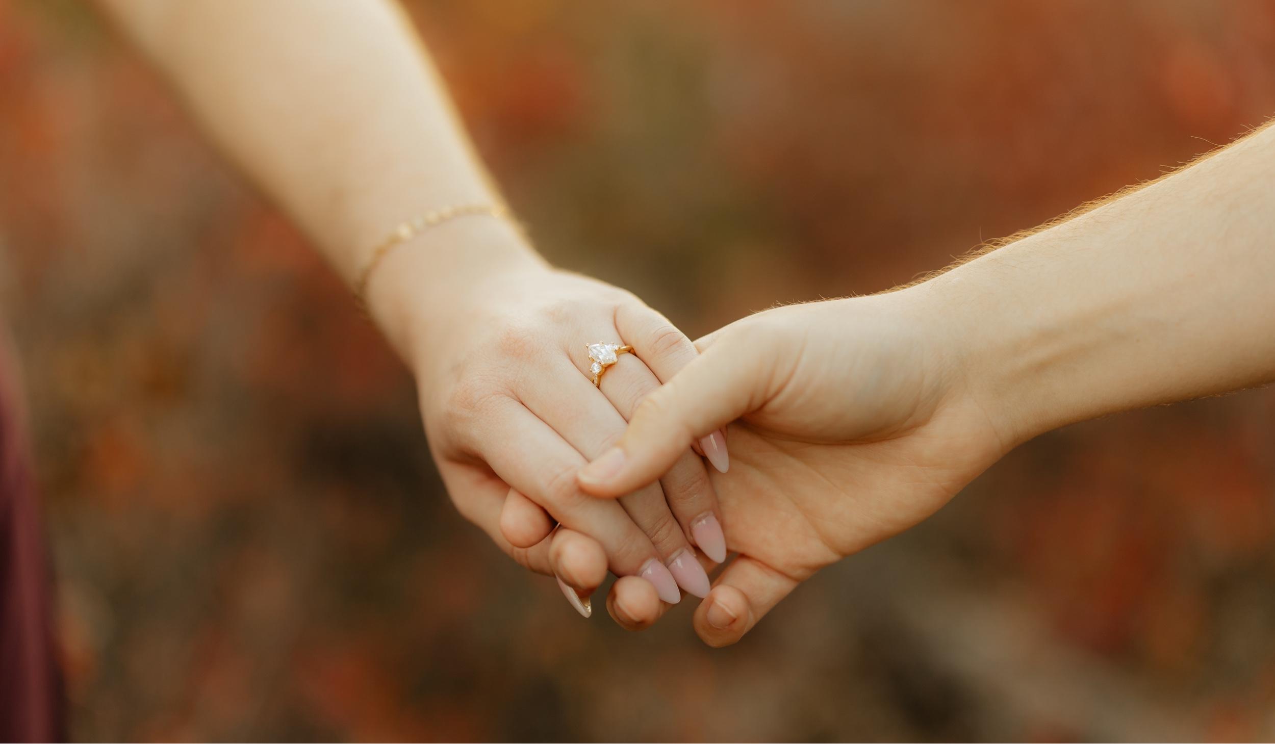 The Wedding Website of Alexandra Nicole Feldman and Kyle Jordan Siple