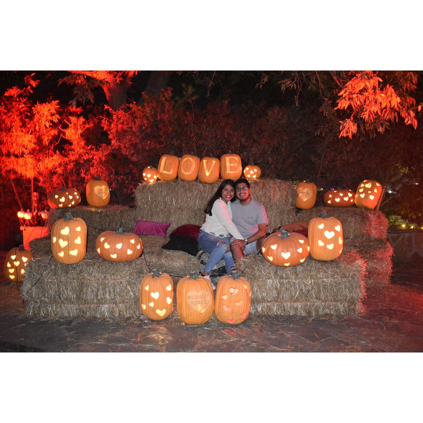 We love the fall time