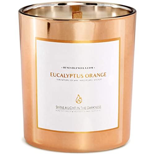 Premium Eucalyptus & Orange Scented Candles, Highly Scented Eucalyptus Candle, All Natural Soy Candles Scented, 8 oz | 45 Hour Burn Soy Candle, Calming Aromatherapy Candles in Rose Gold Glass Jar