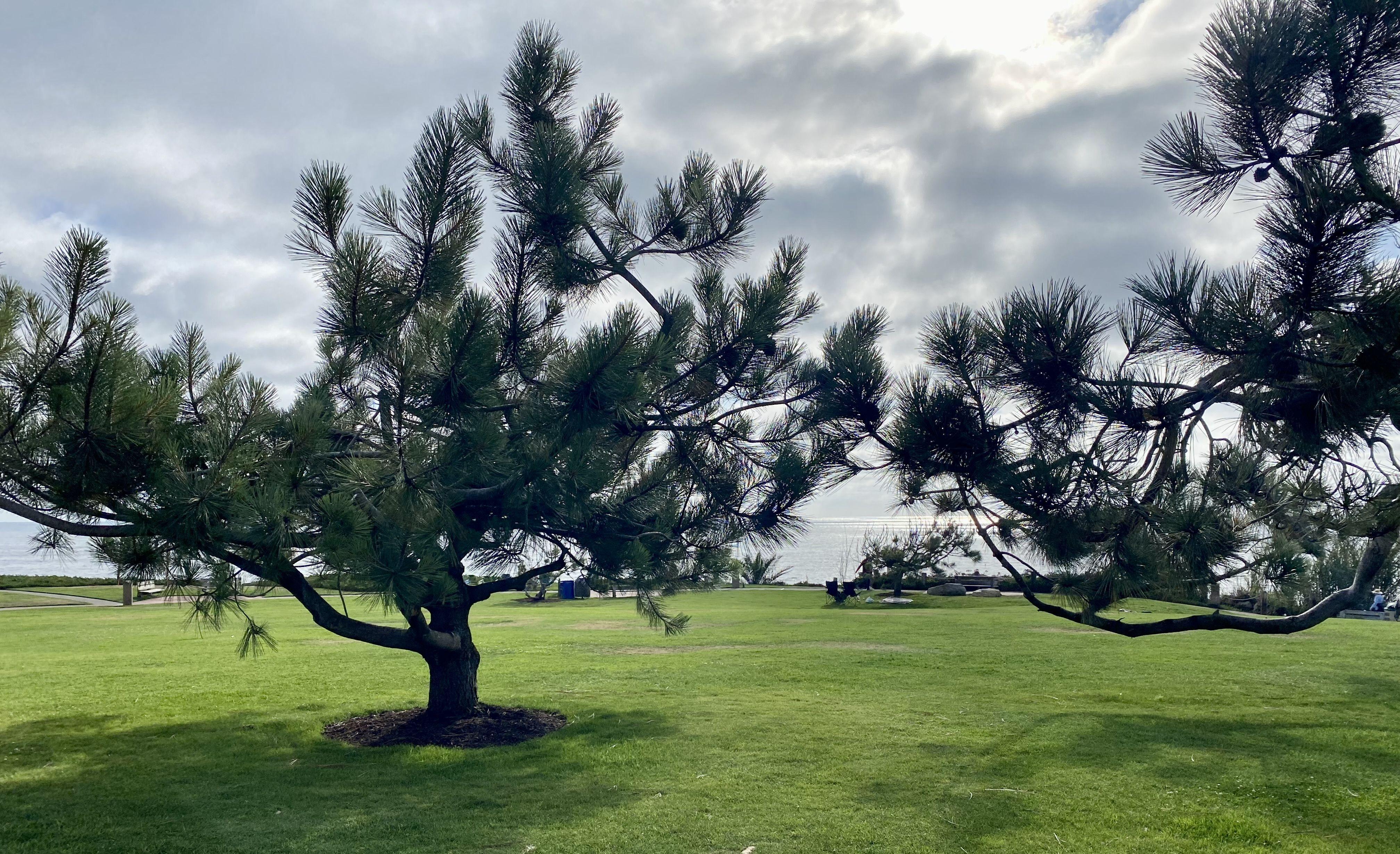 The Wedding Website of Alejandro Gozalo and Korrie Mack