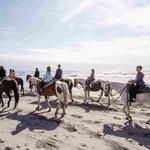 Horseback Riding