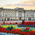 Buckingham Palace & St James Park