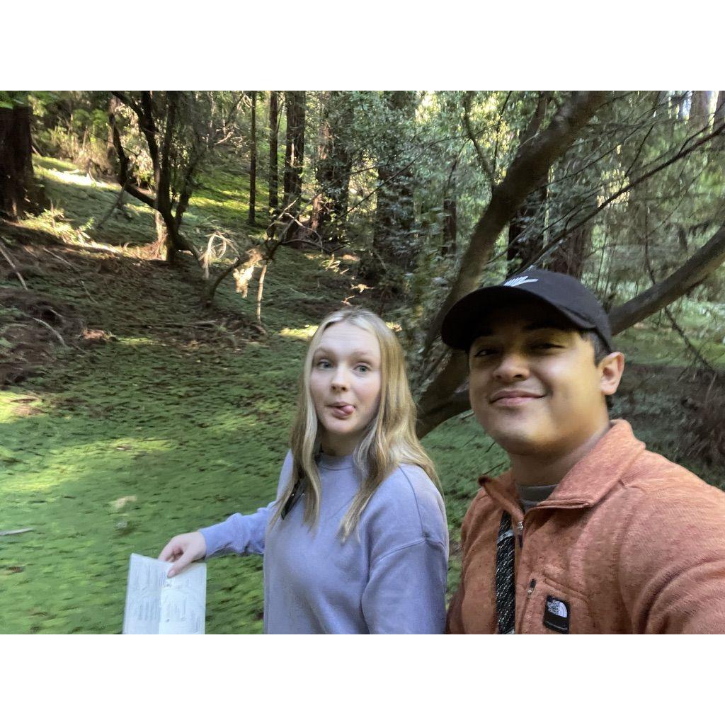 Muir Woods - San Francisco Vacation