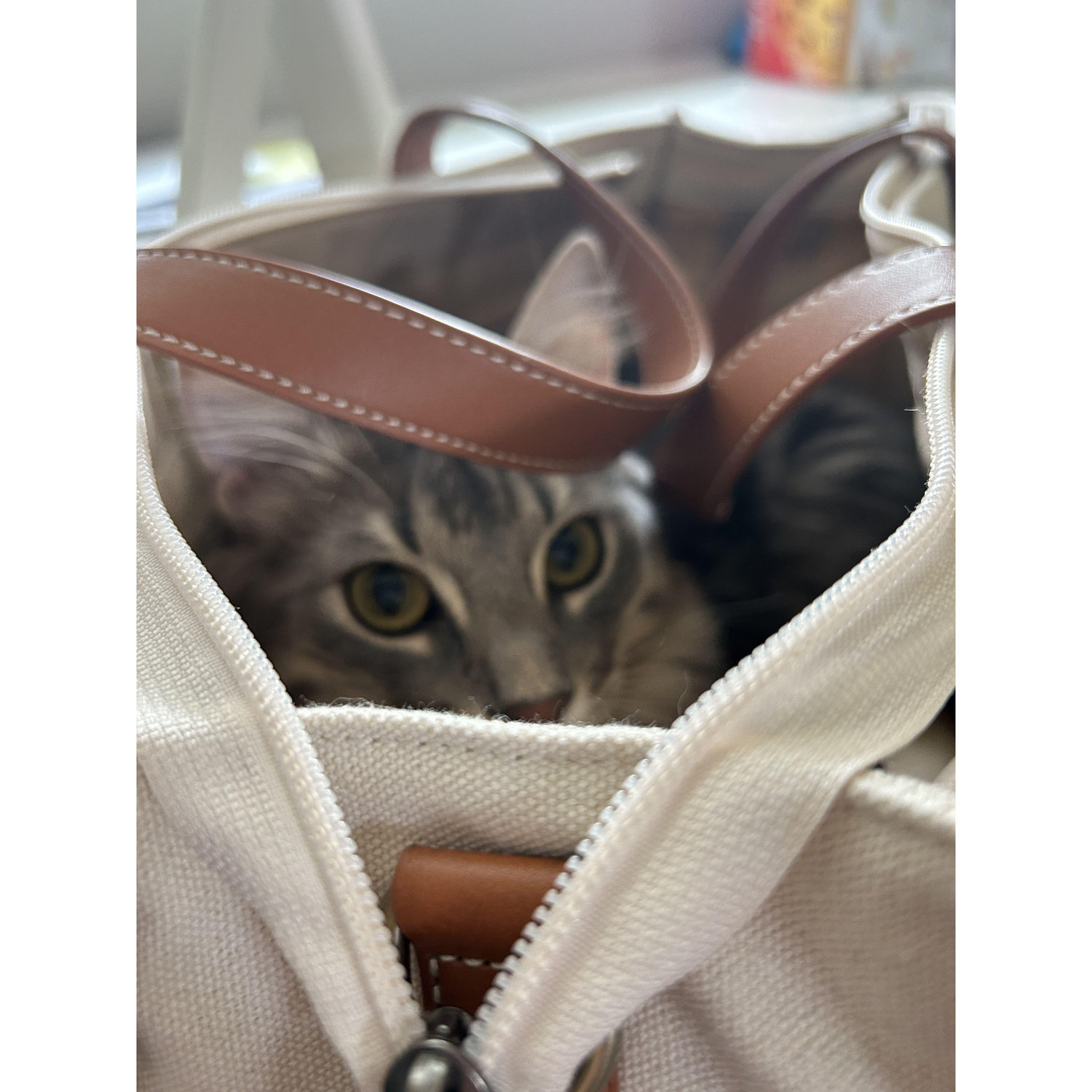 Gandalf tried to go to work with Hien