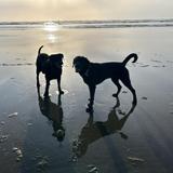 Long Beach