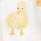 Sunshine/little Ducks