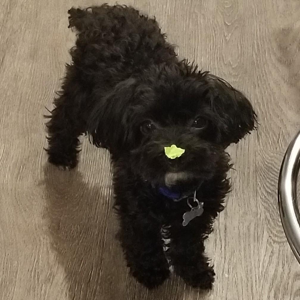 No dad, I havent seen your post-it...