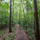 Latta Nature Preserve