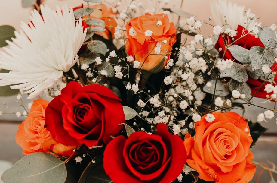 The Wedding Website of Aislinn McMahon and Misty Diedrich
