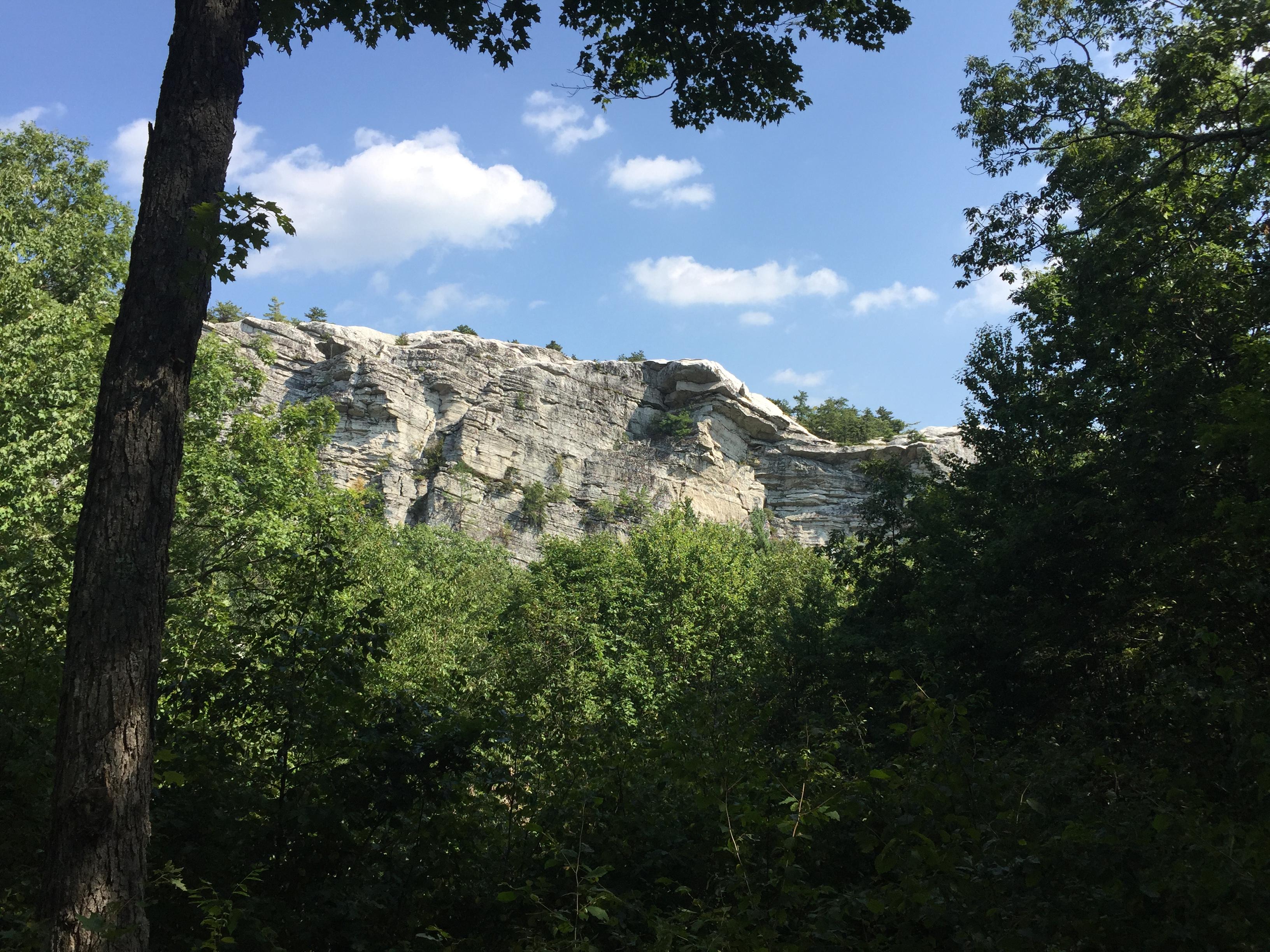 The Wedding Website of Hogan Popkess and Allison Rondash