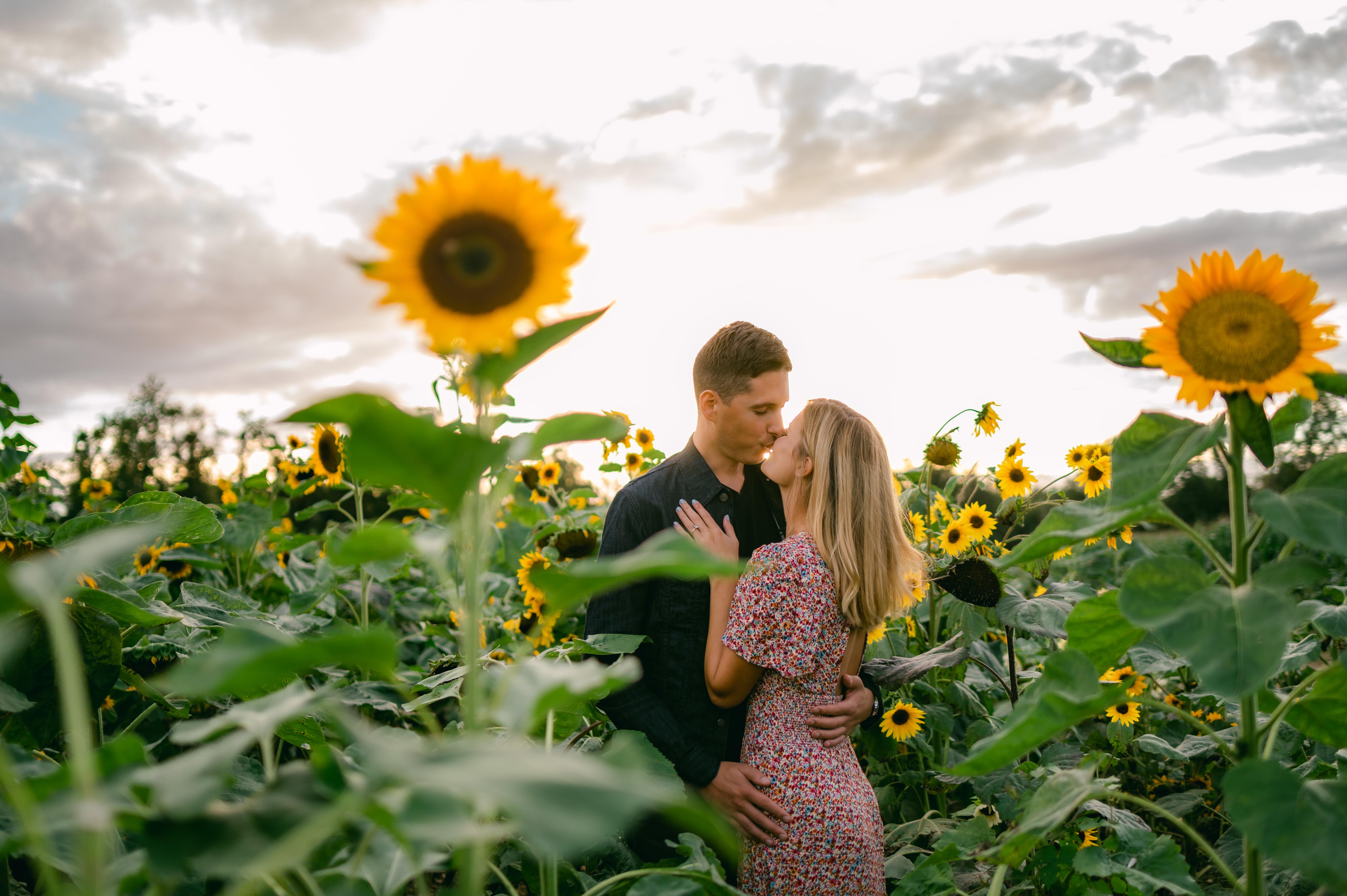 The Wedding Website of Sara Pollack and Shaun Prunotto