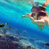 Coral Island