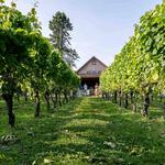 Newport Vineyards & Restaurant