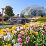 Phipps Conservatory and Botanical Gardens