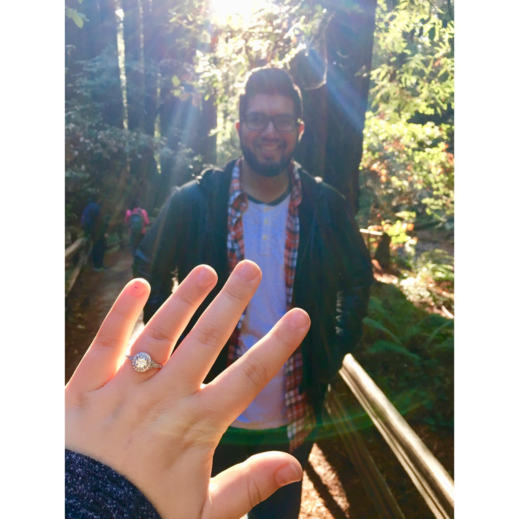 The Proposal - 11.11.2017