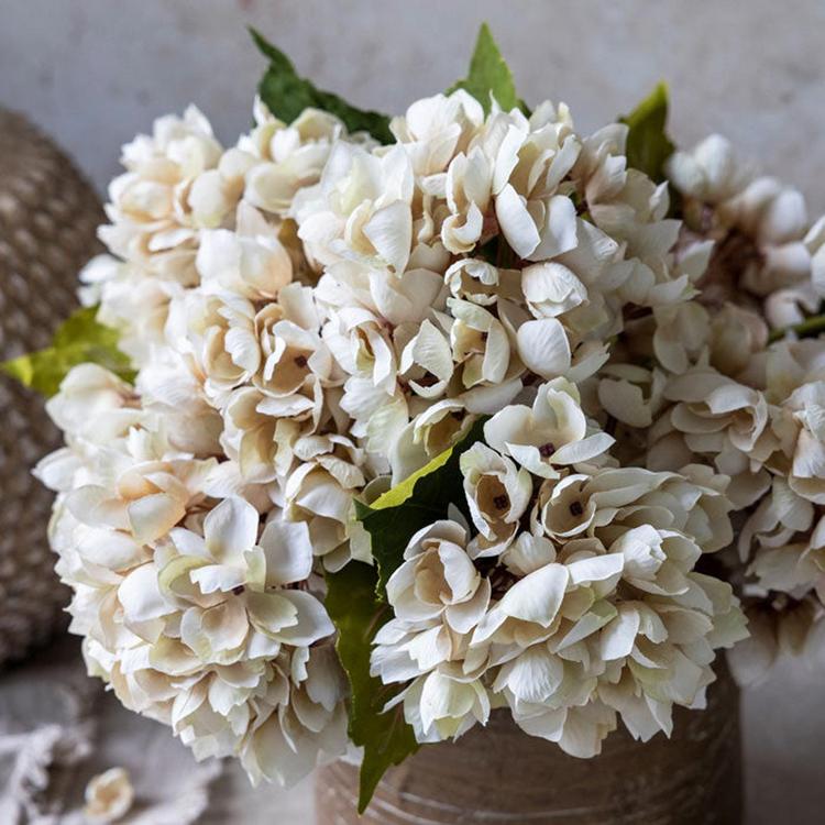 Abigail Ahern, Hydrangea Morning Mist Stem, Set of 7 | Zola