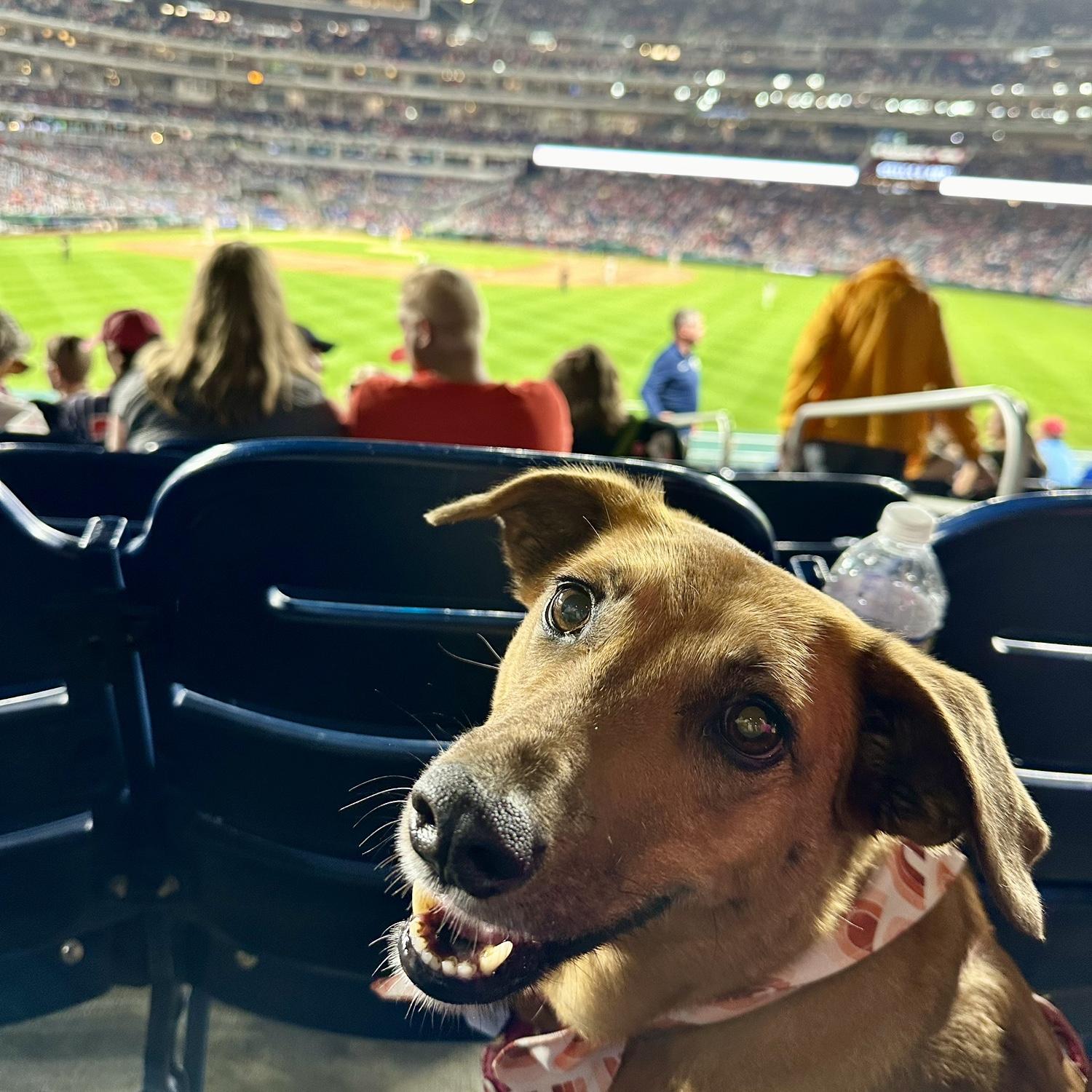 Our best girl.